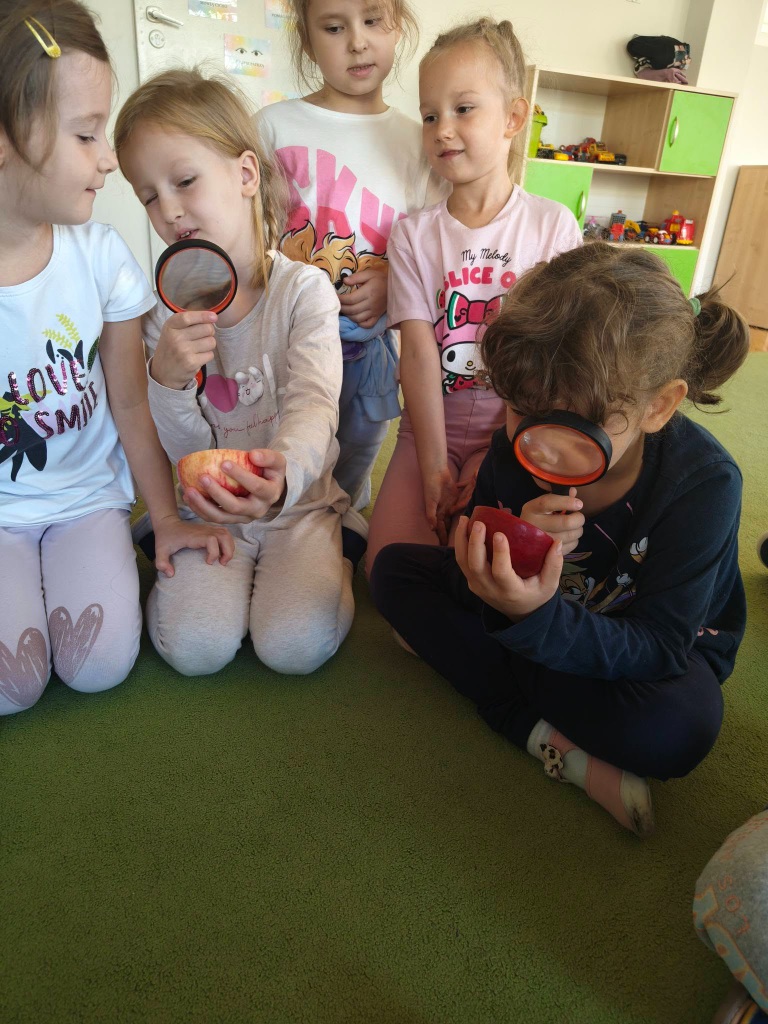 galeria-motylki-25134.jpg