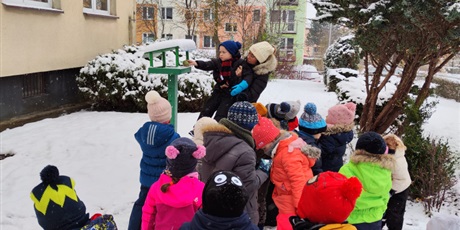 Grupa dzieci, chłopcy i dziewczynki, ubrani w zimowe kurtki, czapki i rękawiczki stoją przy karmniku dla ptaków i dosypują ziarenka. Jedno z dzieci kobieta, brunetka, podnosi do karmnika. Jest śnieg.