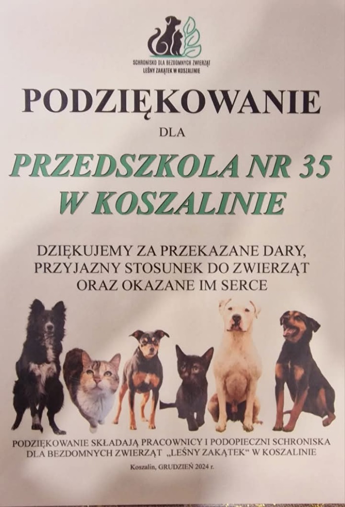 w-przedszkolu-16696.jpg